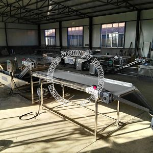 Fruit and vegetable cleaning machine