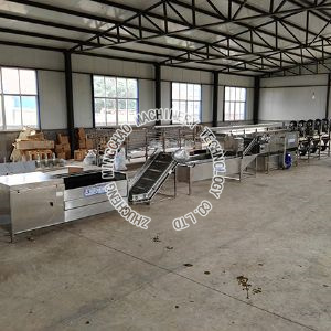 Clean vegetable processing equipment