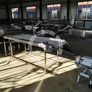 Clean vegetable processing equipment