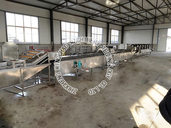 Pasteurizer