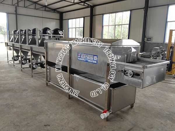 Ginger cleaning machine / small yellow ginger peel cleaning machine