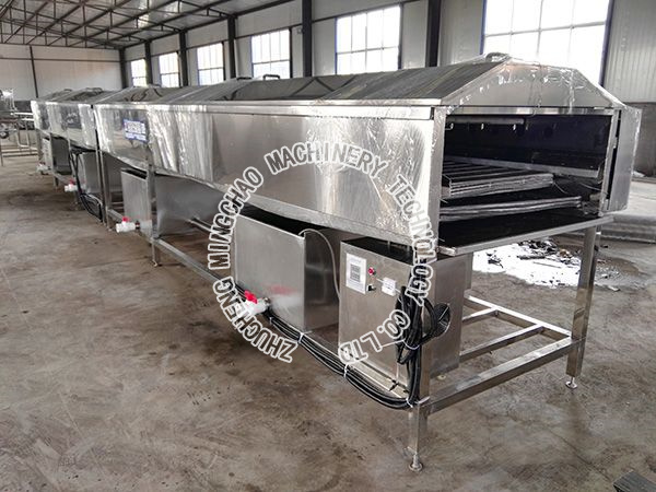 The vegetable spray bubble cleaning machine