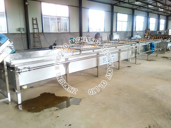 Cleaning line for fruit and vegetable