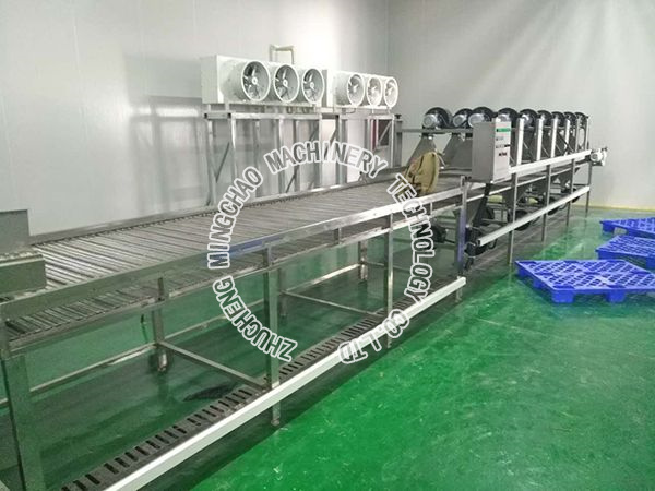 Clean vegetable processing equipment