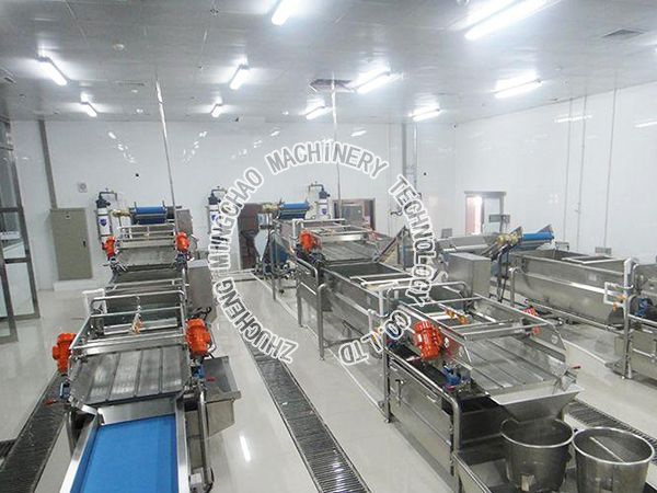Vegetable processing line