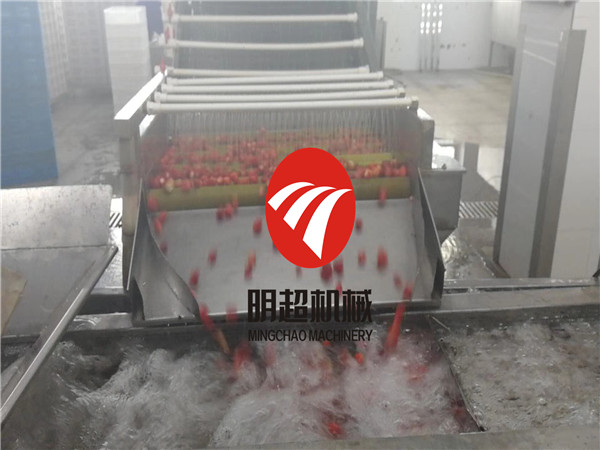 草莓清洗流水線.jpg