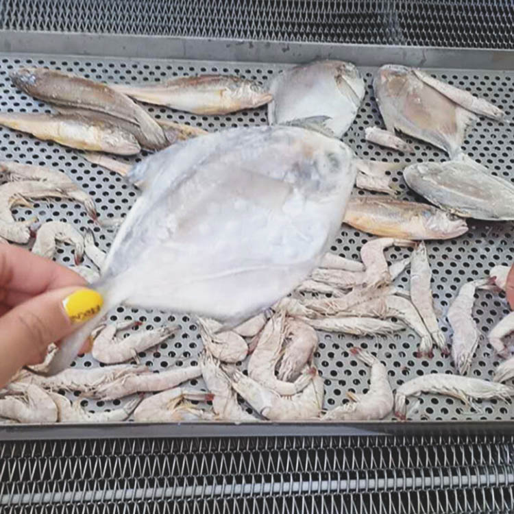 海魚速凍機.jpg