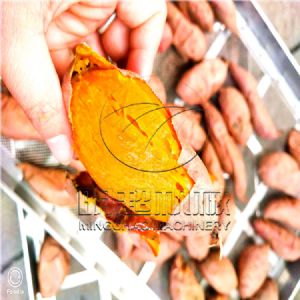 全自動紅薯烘烤流水線