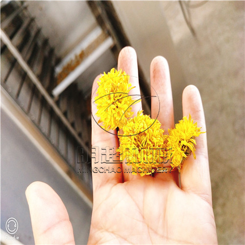 菊花烘干機(jī) (2).jpg