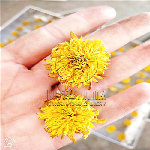 菊花烘干機(jī) (3).jpg