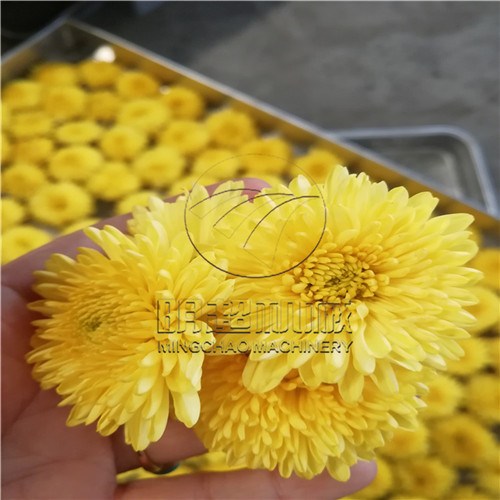菊花烘干機(jī) (9).jpg