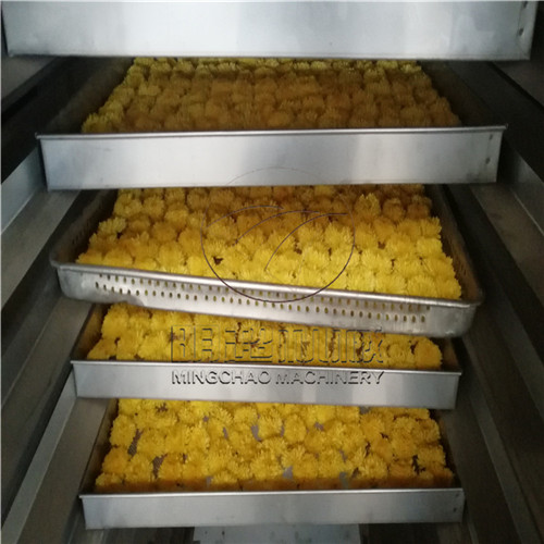 菊花烘干機(jī) (10).jpg
