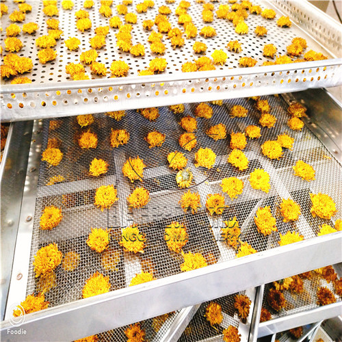 菊花烘干機(jī) (4).jpg