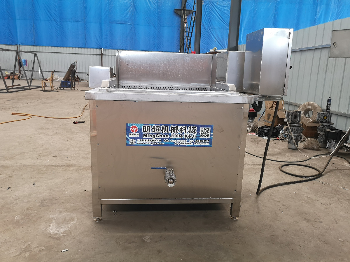 小型洗菜機(jī) 蔬菜清洗機(jī)