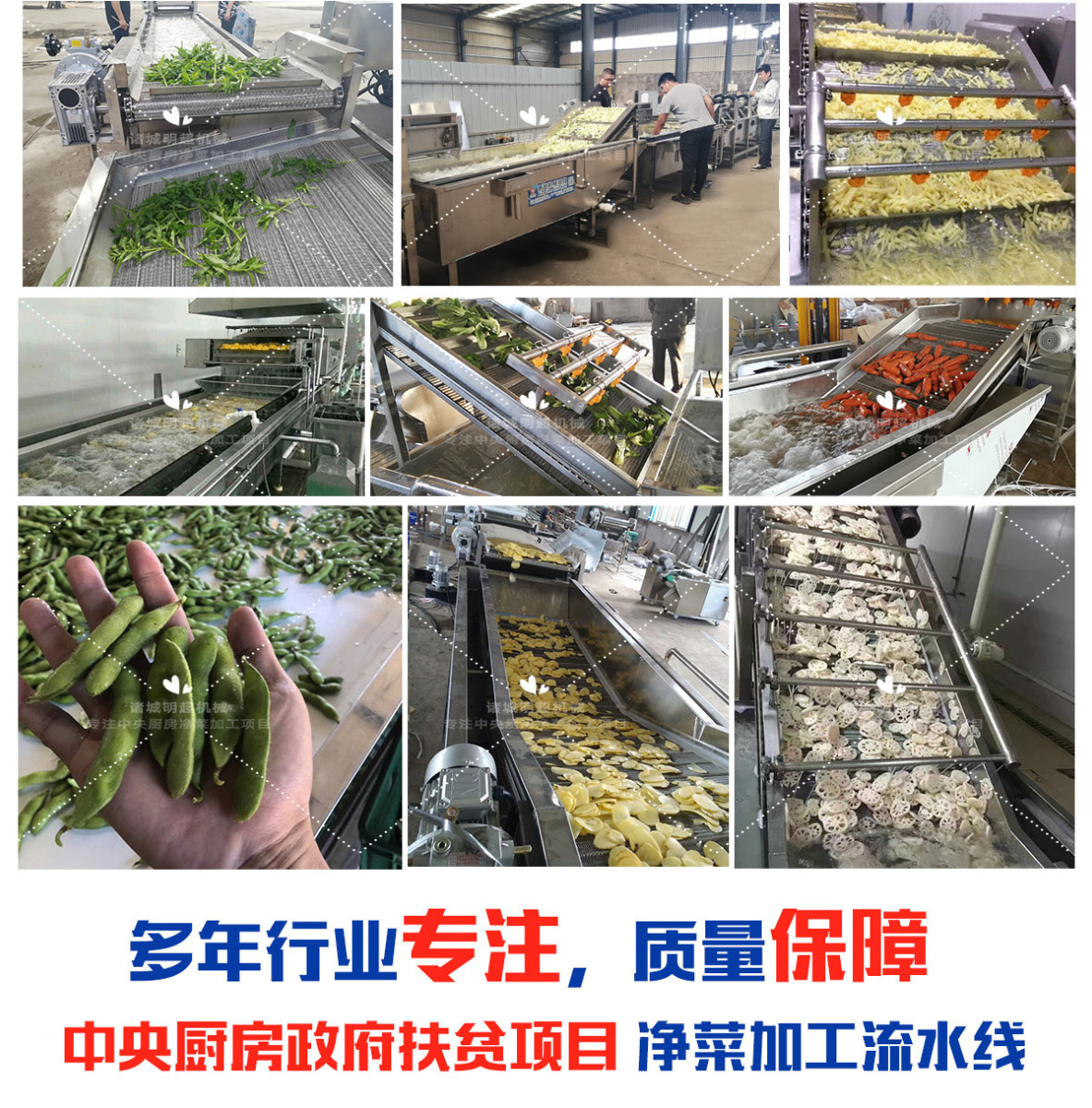 電腦凈菜_08.jpg