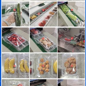 黃瓜蔬菜包裝機 小食品連續式包裝機