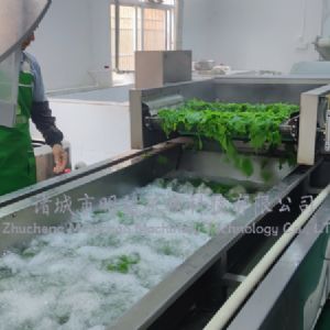 桑芽菜清洗漂燙流水線
